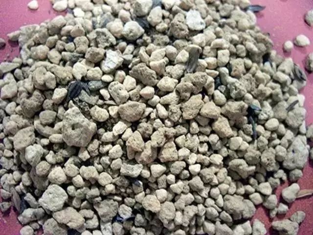 养花种植技术大全及配土,家庭养花如何使用绿沸石配土