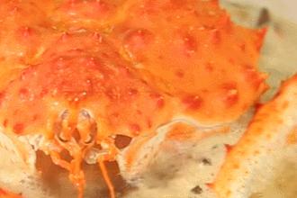 正宗法餐的13道菜谱,法餐有哪些经典菜