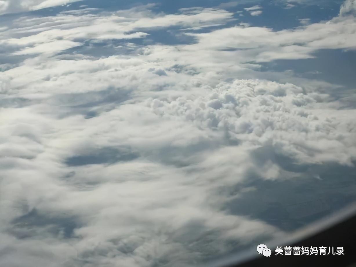 留金岁月安排饭局是第几集,流金岁月电视剧经典片段