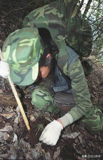 寻找野人的张金星现在如何,张金星神农架野人