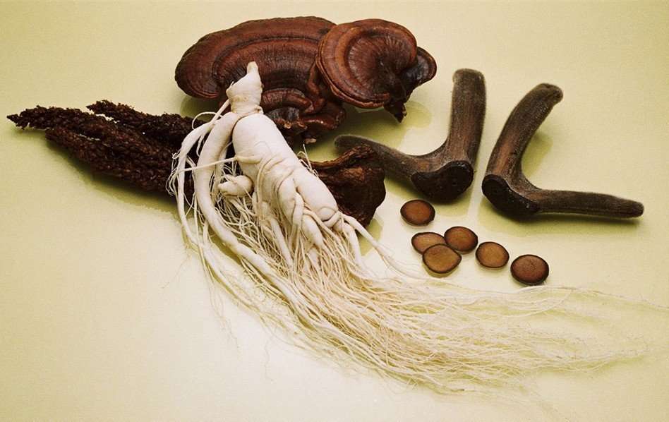 为晕倒在养生*魂迷**汤的同学小科普了一下