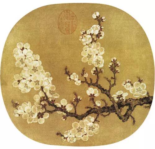 杏是一种什么水果,杏是热带水果么