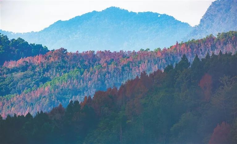 永恒的蓝中文,永恒的蓝歌曲