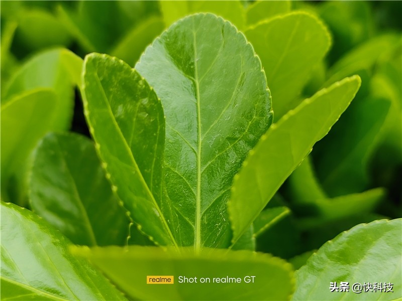 1699元的realme手机,realme真我gt预售2999