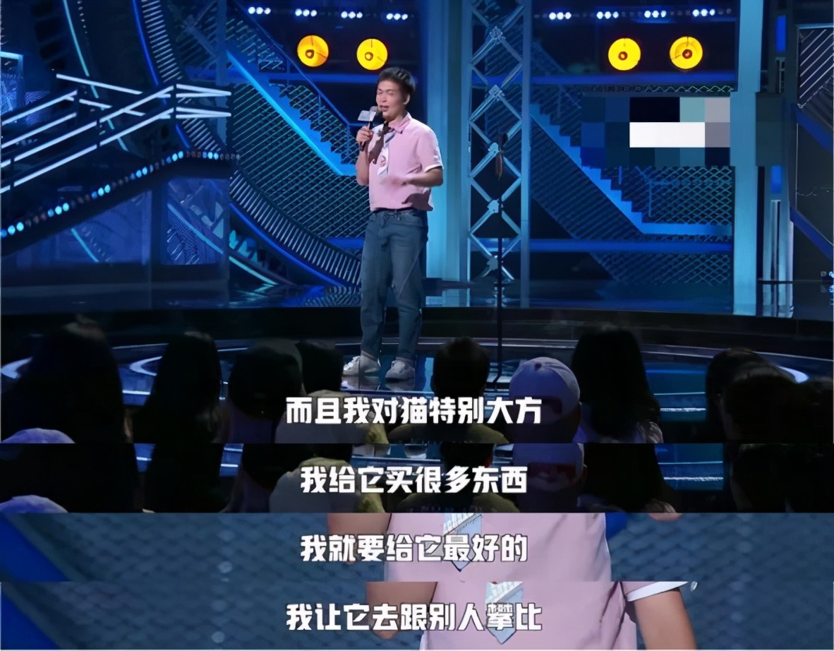 以为单身就可以自由,开始以为养猫是为了不孤单