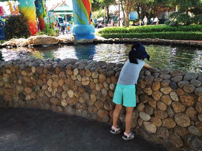 长隆旅游细节分析,长隆有必要四个乐园都玩吗