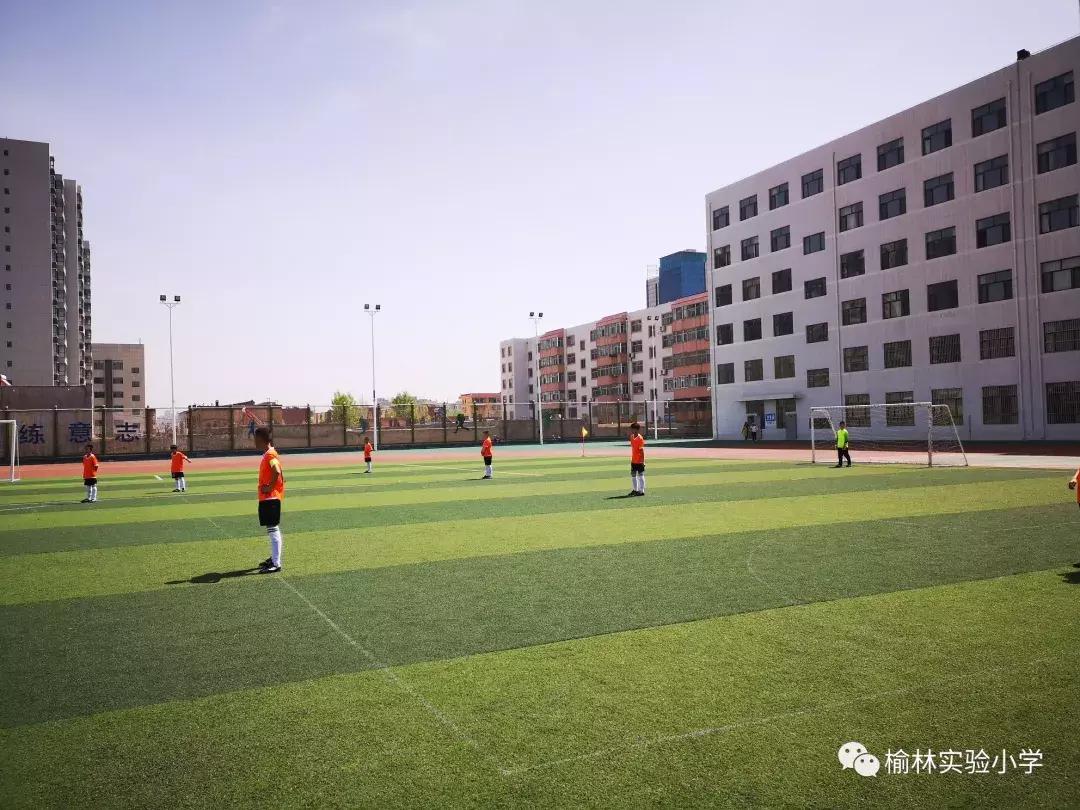 阳光少年展示,阳光少年展风采