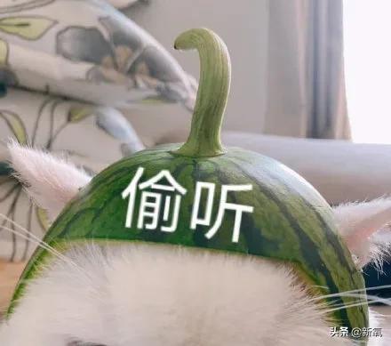 大s回应汪小菲婚内出轨传闻,大s开腔回应汪小菲出轨传闻