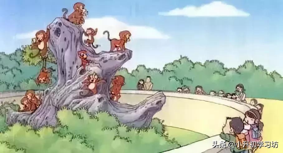 为什么孩子讨厌写看图写话,一年级看图写话会说不会写怎么办