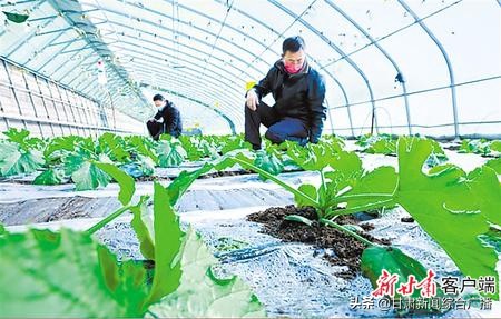 决战决胜脱贫攻坚年,决战决胜脱贫攻坚