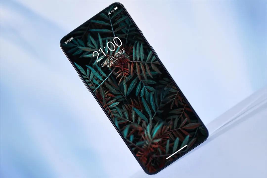 文艺素雅治愈植物手机壁纸,唯美治愈系手机壁纸植物