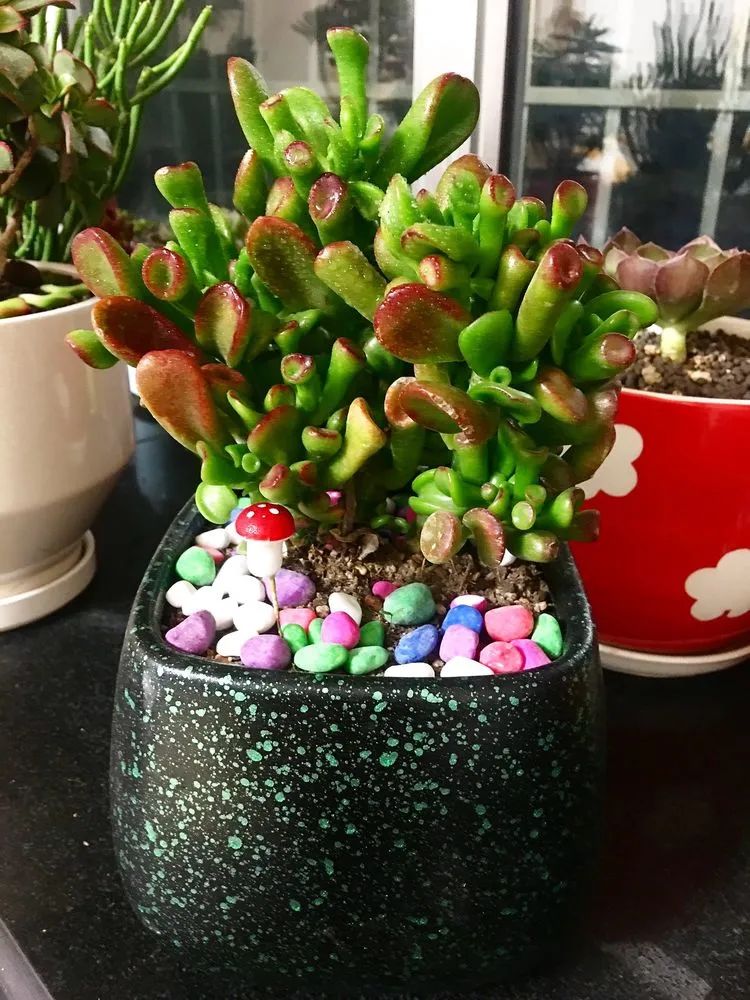 2021牛转乾坤砥砺前行,2021年牛转乾坤时来运转