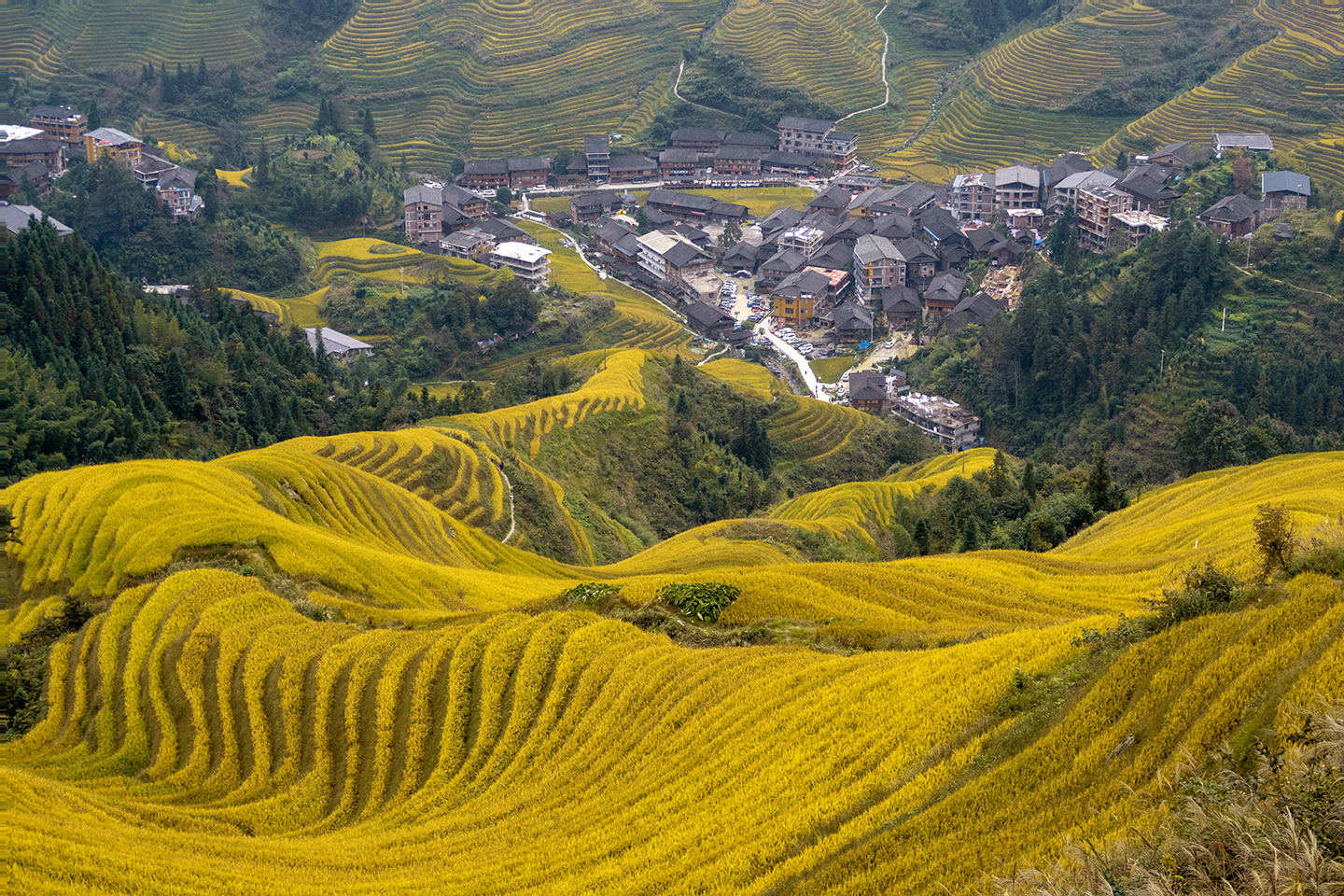 世界奇观龙脊梯田视频,世界梯田之冠桂林龙脊梯田