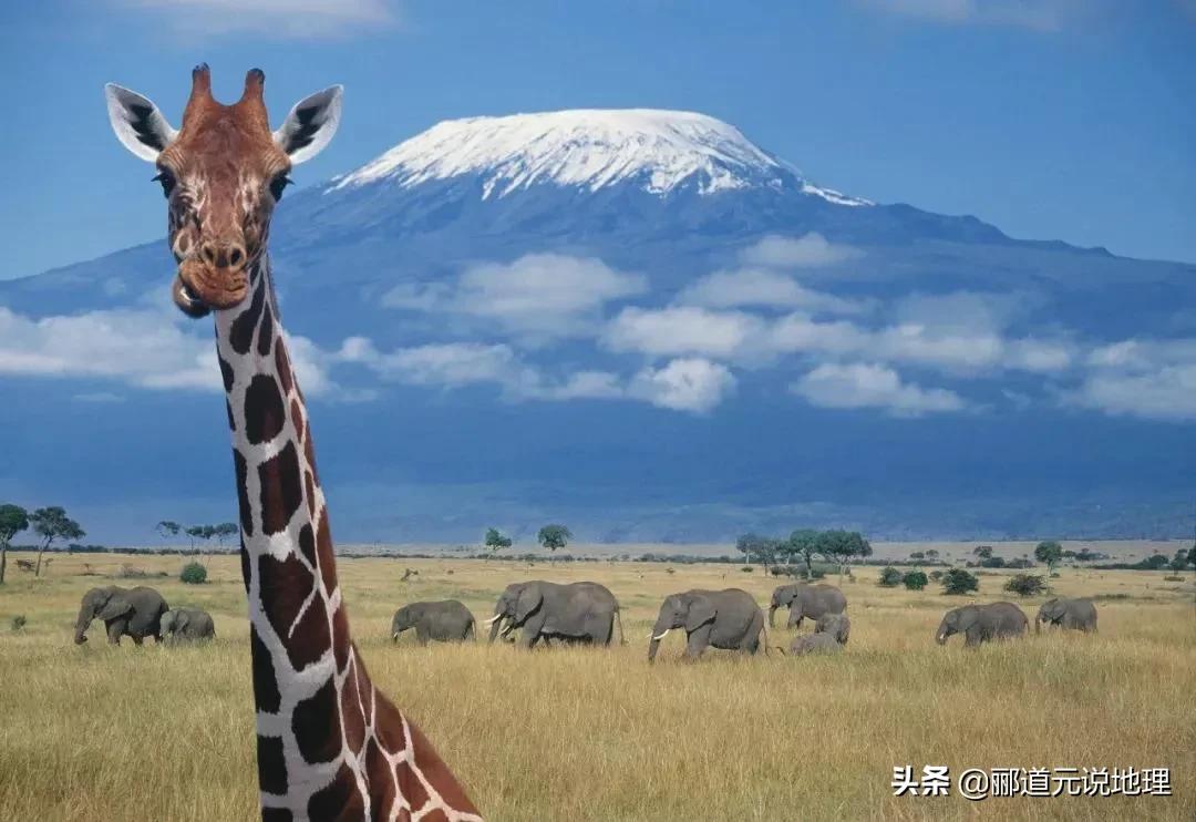 鐖变笂鍦扮悊,鎬庢牱鐖变笂钄彍