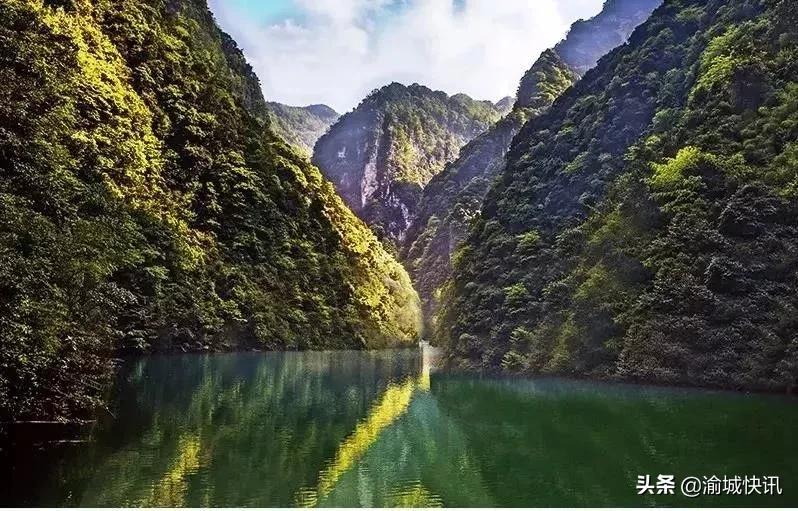 重庆无症状感染者最新情况,重庆无症状感染者在哪个区