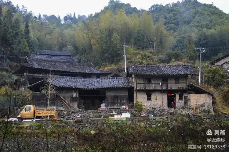 泰顺葛洋陶氏三兄弟修建的三条古道，等你来打卡～