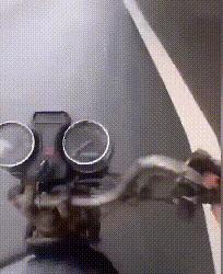 大腿上为什么绑黑带,女孩子大腿上绑黑带啥意思