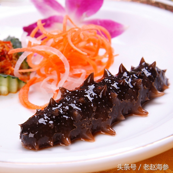 海参怎么吃才是正确的,海参到底怎么吃最佳