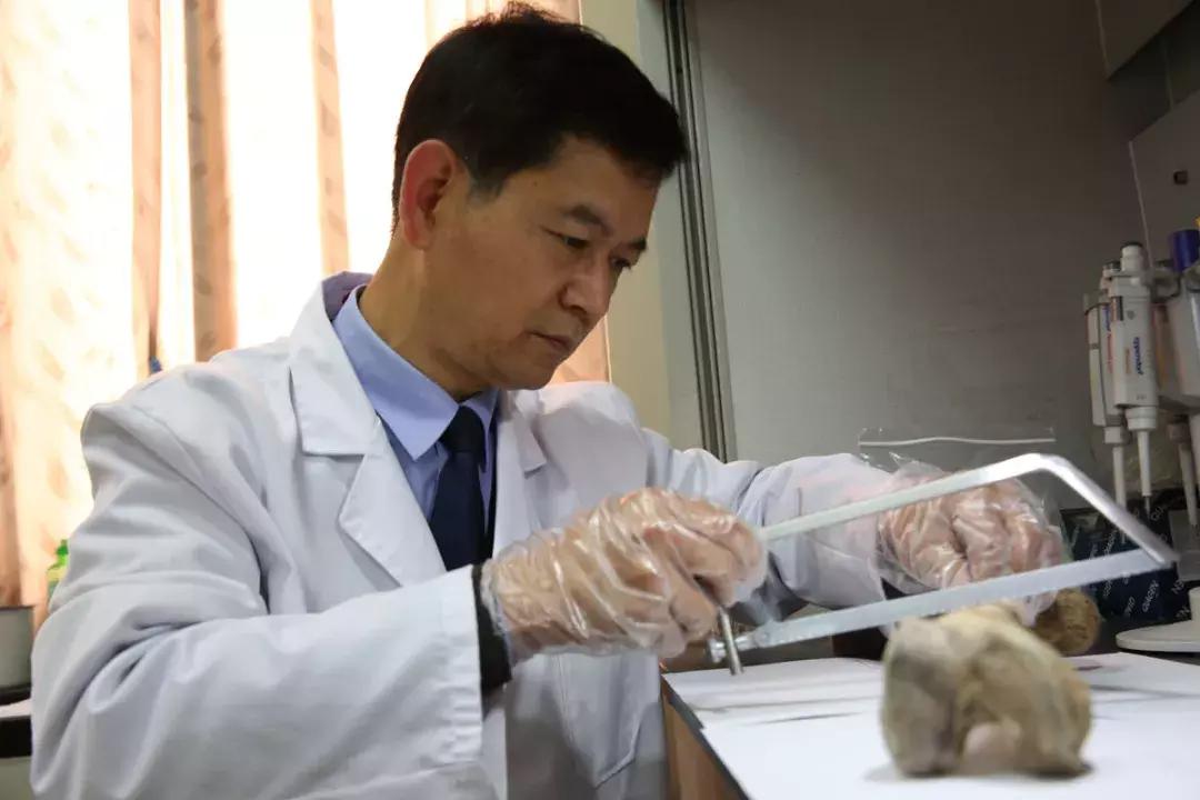 真实的法医工作是怎样的,法医工作真实感受