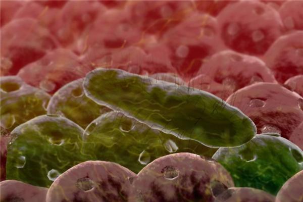 有关放屁的9个小秘密,有关放屁的十个事实