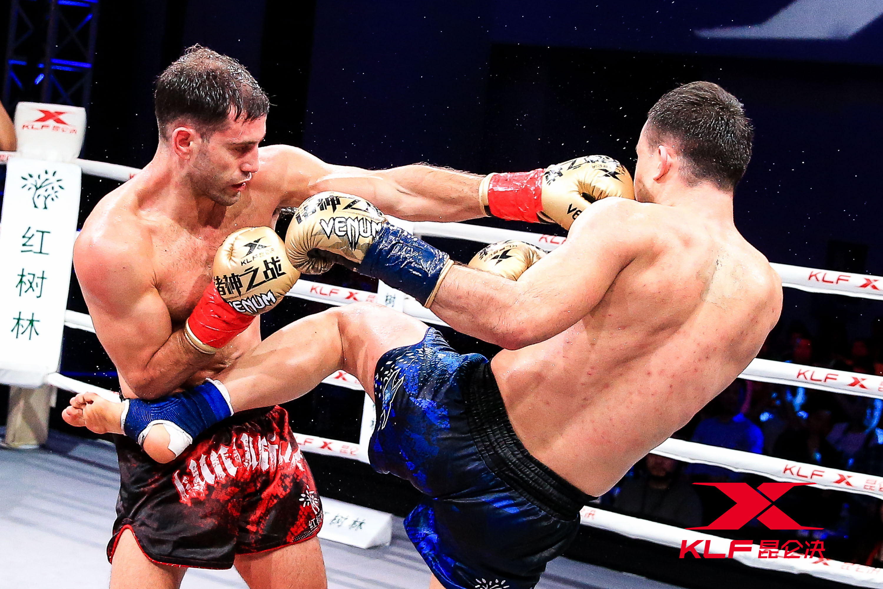 昆仑决汪柯菡出场,昆仑决汪柯菡输给了谁