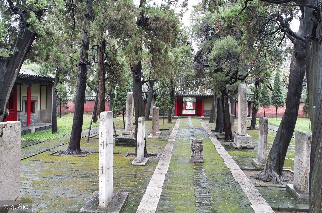 山东车牌是鲁d吗,山东车牌号是不是鲁a