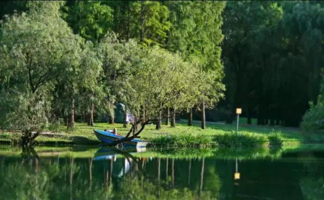 上海杨浦区最新发展规划,大局已定未来五年咋样