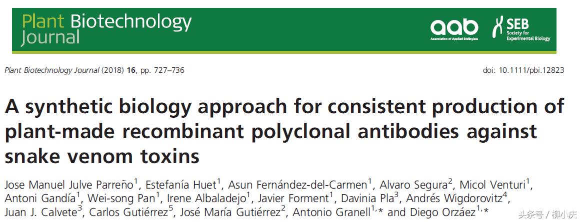 转基因植物可用来生产抗体吗,转基因植物有什么药用价值