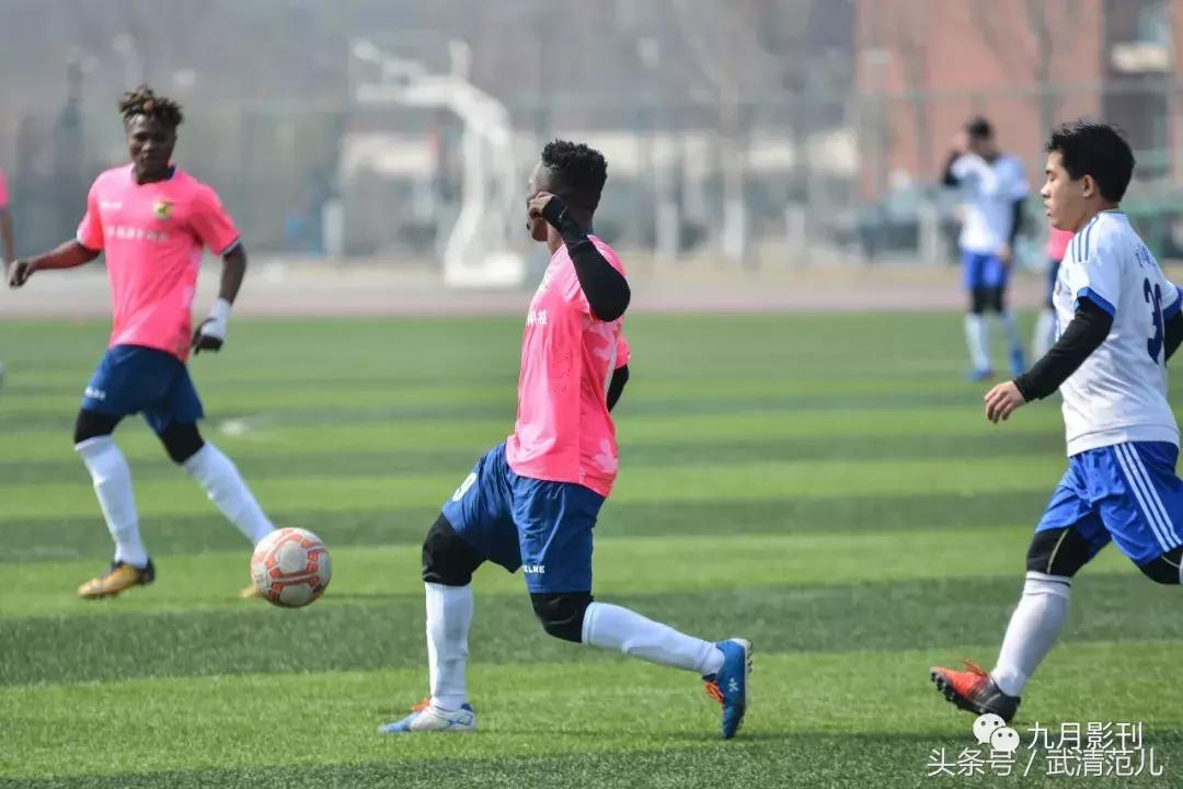 草根也疯狂1985,草根也疯狂全集