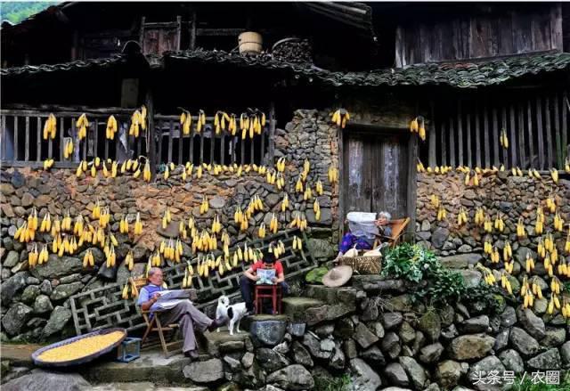 孕育了中华民族,孕育了什么样的文化