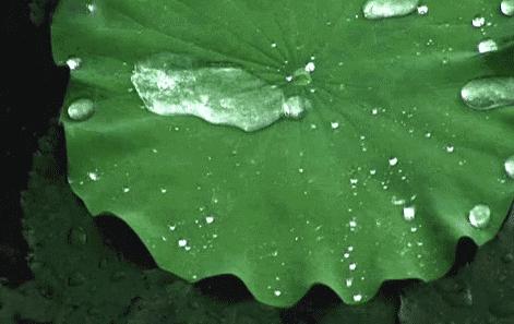 怎么样才能让鞋不潮,鞋子什么方法可以不湿