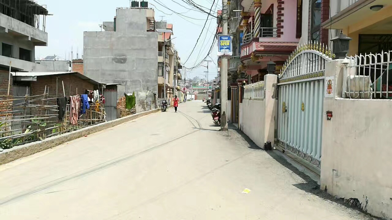 凤眼菩提尼泊尔跟白俄罗斯,3.0凤眼菩提