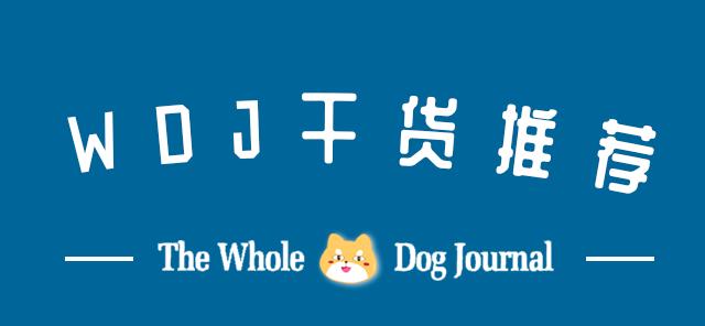 狗狗身上有虱子并有疙瘩怎么处理,狗狗身上有虱子的治疗方法
