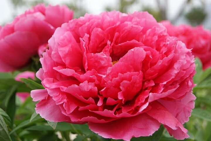 今天29，打开就能幸福久久！幸福相册！请收下给你的祝福哦