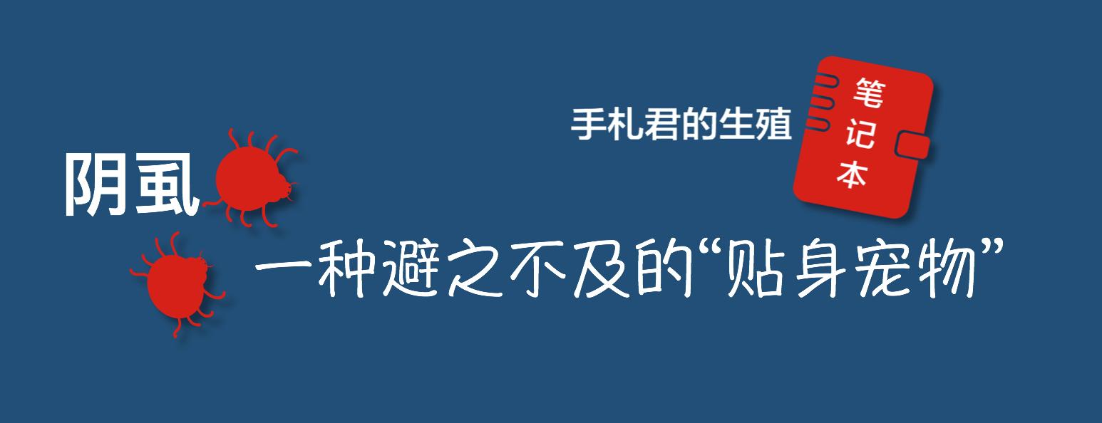 阴虱病如何传播,阴虱病是怎么传播来的