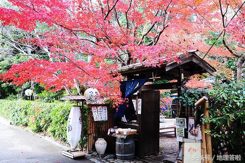 日本各地域划分,日本的地理区域区划及级别