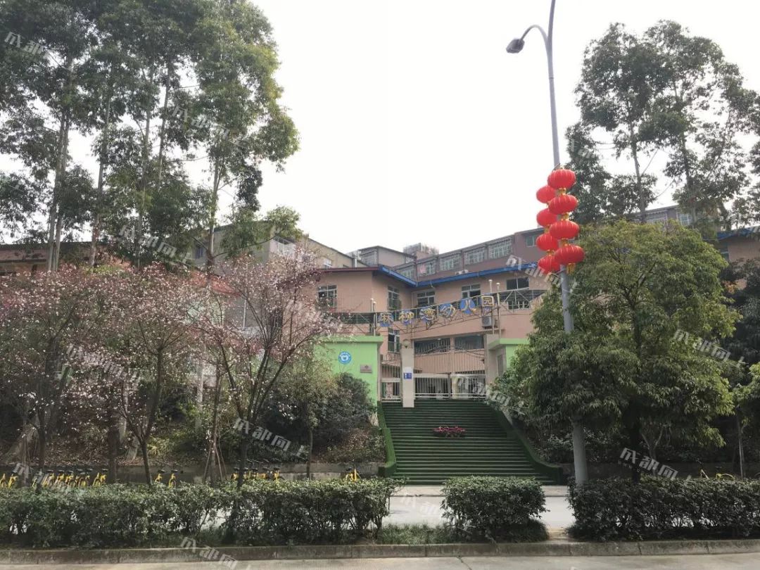 锦江区的核心地段，没想到现在是这样