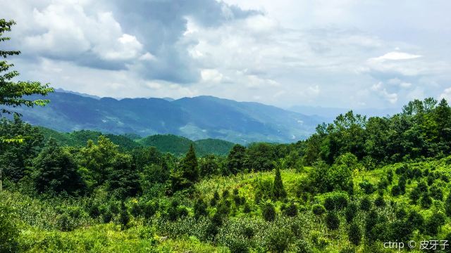 爱情治愈圣地人间仙境,爱情治愈圣地