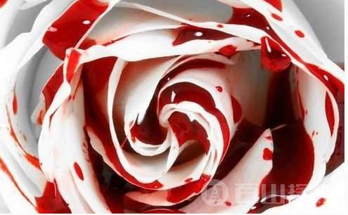 史上最后一次公开执行断头台场面血腥，还发放“纪念品”