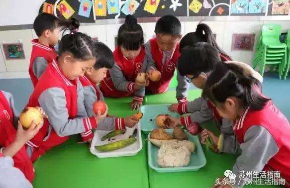 苏州各区幼儿园收费名单,公办幼儿园涨价