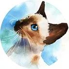 水彩技法平涂与渐变,水彩毛发胡须留白技法