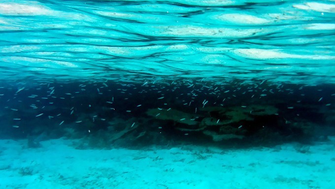 马尔代夫a级浮潜岛有哪些,马尔代夫卡娜丽芙岛浮潜