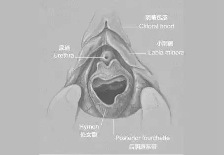 根本不存在“*处破**”这件事,处女膜本来就是破的|女孩别怕