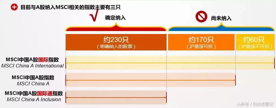 msci指数在官方如何看,msci指数是什么