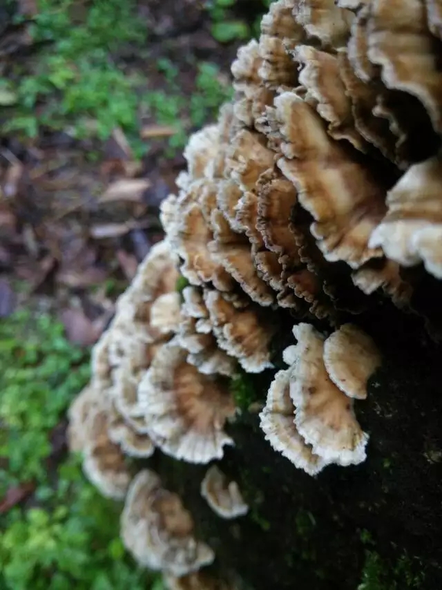 骑行云南山路是不是特别多,骑行滇藏困难处