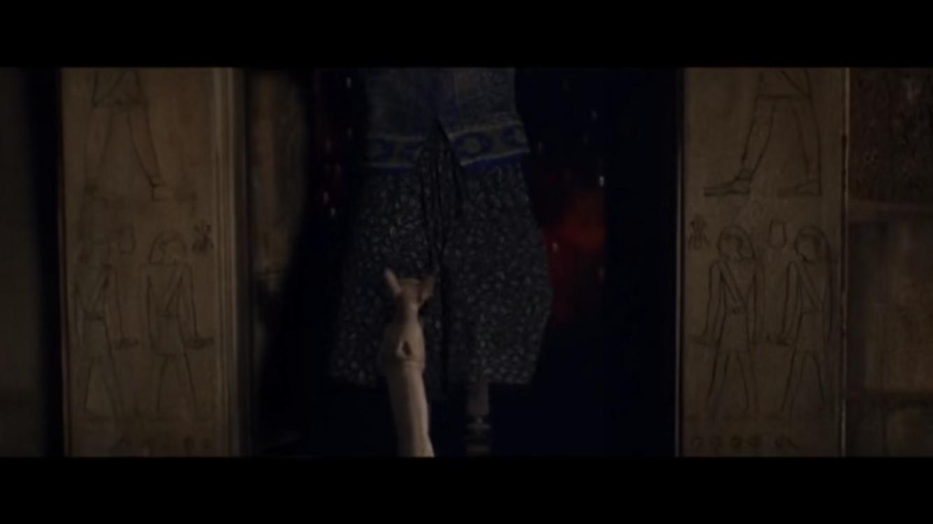 加拿大斯芬克斯无毛猫拿斧头,斯芬克斯猫被人们称为短脚猫