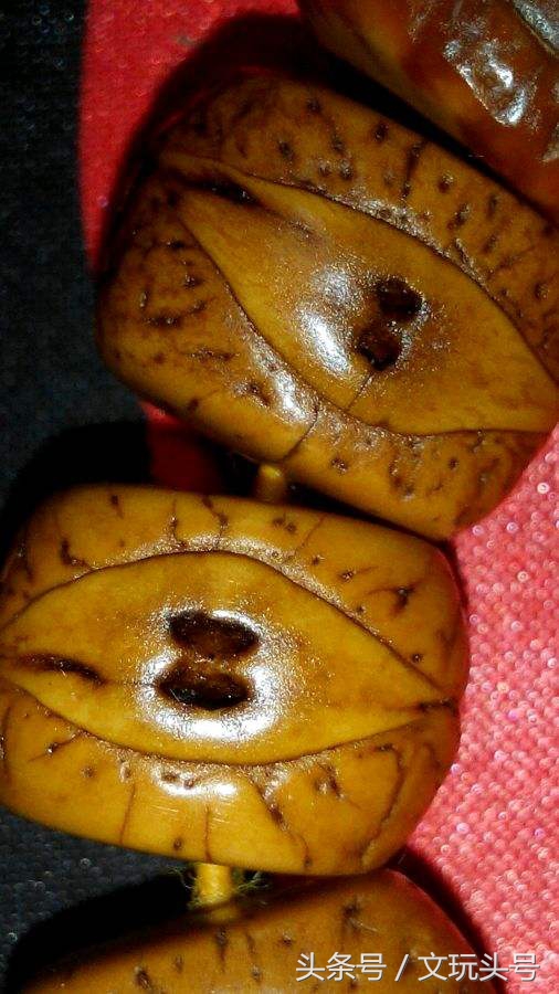 凤眼菩提漏眼了可以镶朱砂吗,凤眼菩提用什么胶水封漏眼