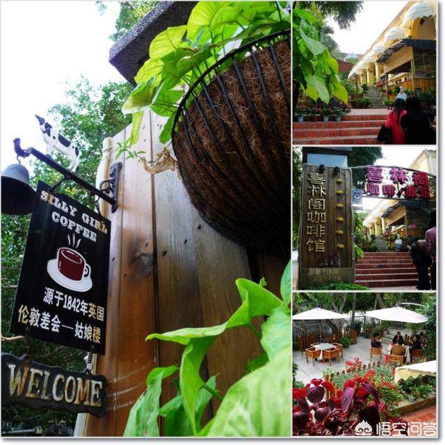 喜欢鼓浪屿的民宿，有这样几家咖啡旅馆很可爱