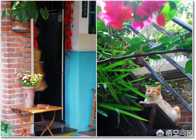 喜欢鼓浪屿的民宿，有这样几家咖啡旅馆很可爱