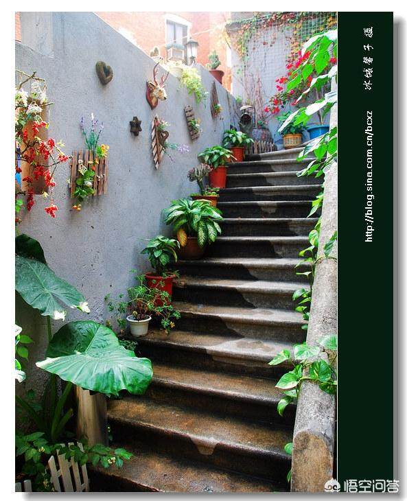 厦门可以看海的鼓浪屿附近的民宿,在厦门鼓浪屿有一百元的民宿吗